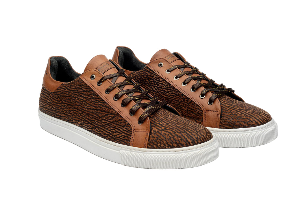 SATORI TIBURÓN CAMEL
