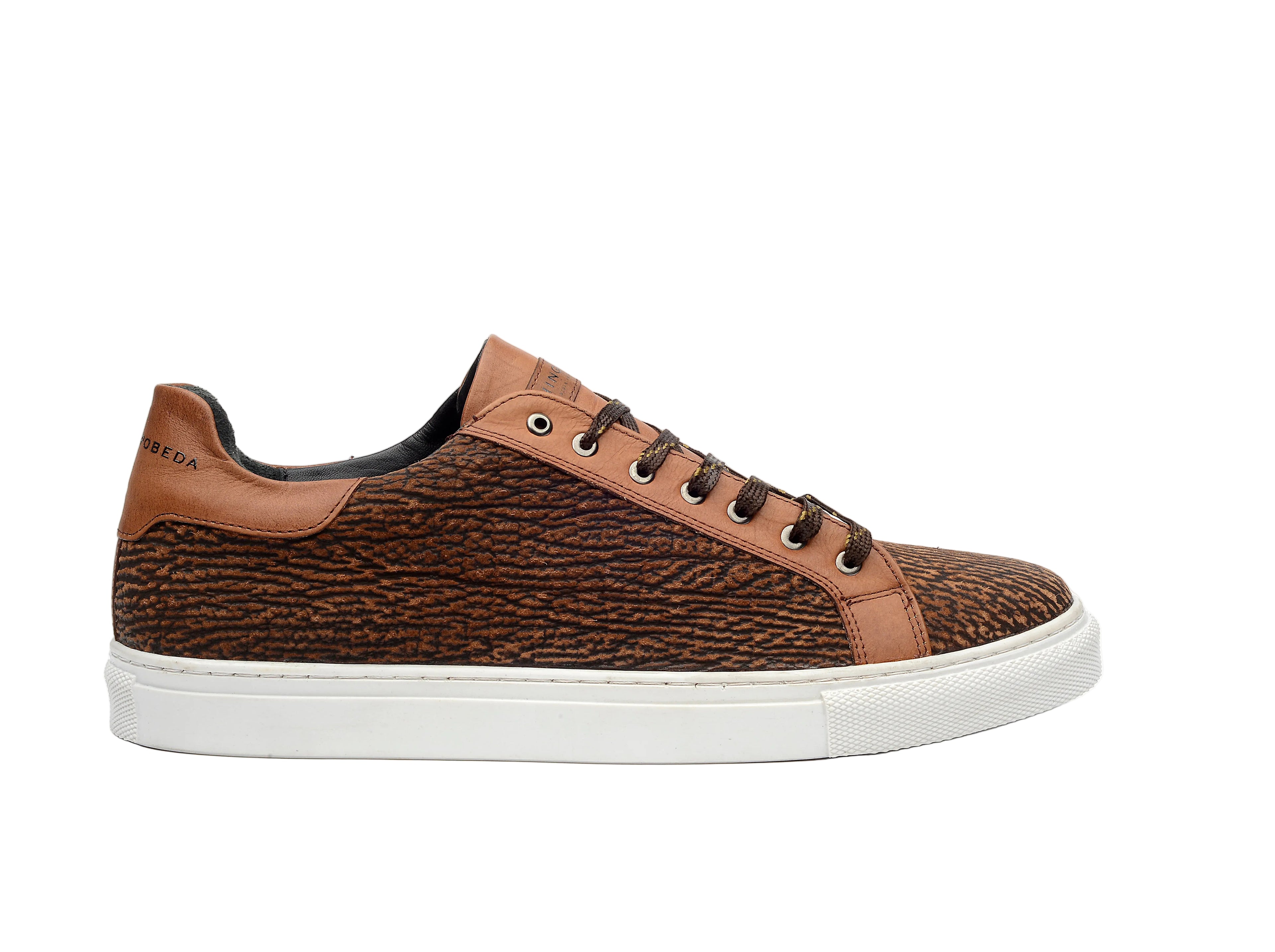 SATORI TIBURÓN CAMEL
