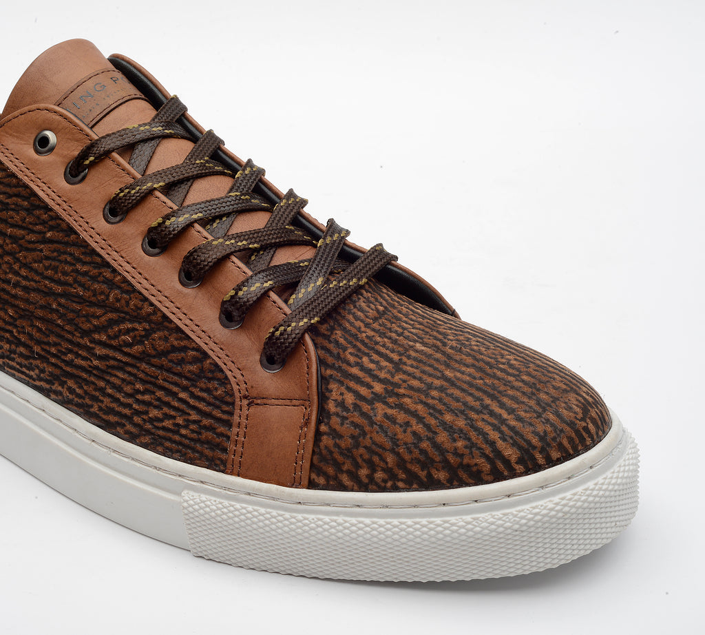 SATORI TIBURÓN CAMEL