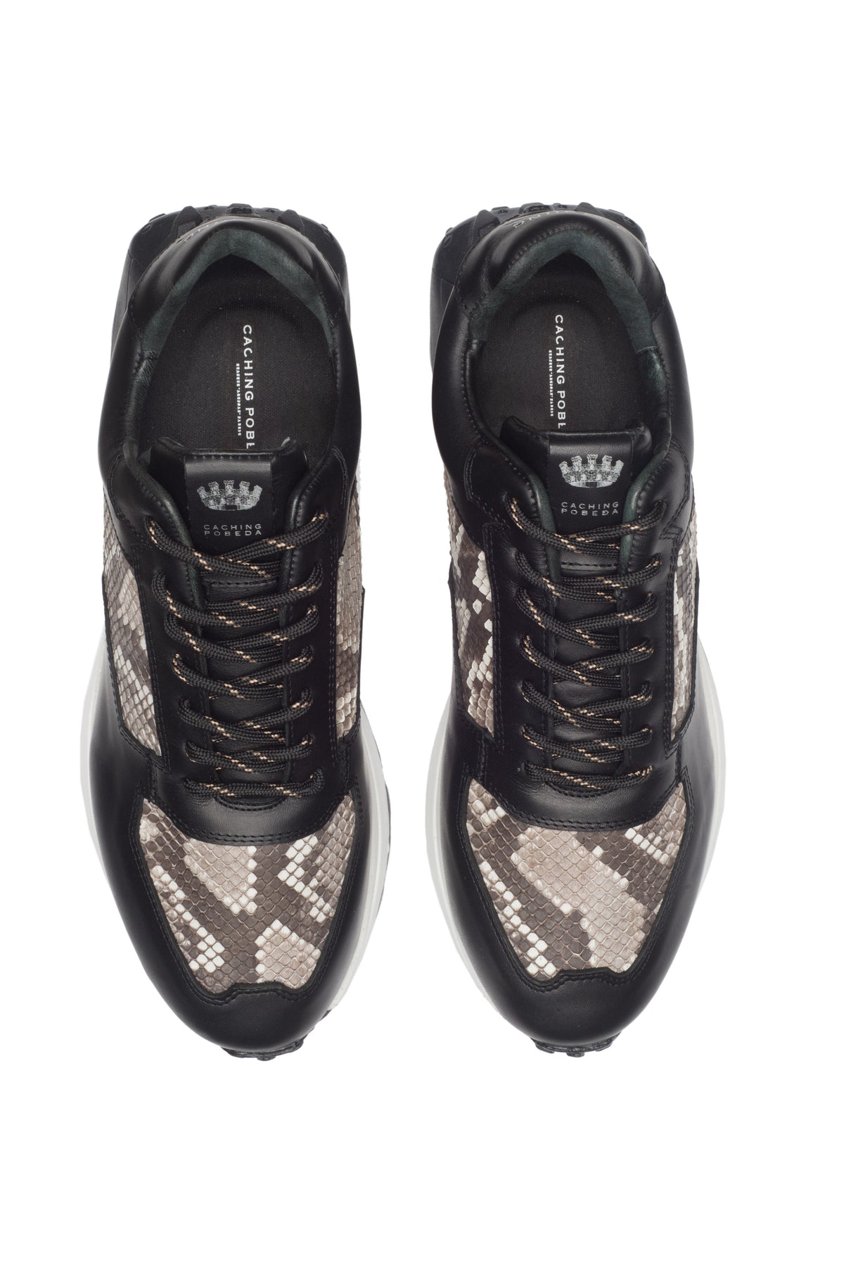 Corio Piton Negro